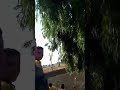 غريب وكلك ادب كل البلاد بلدك