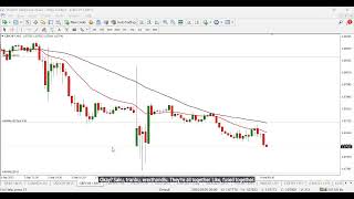 Rally Trade - Morning Market Review