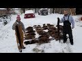 Winter Beaver Trapping at it's Best