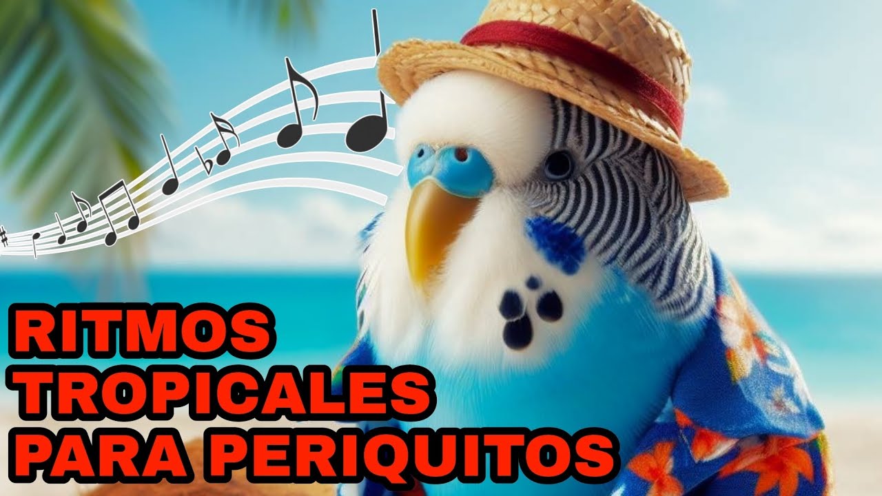 RITMOS TROPICALES PARA PERIQUITOS