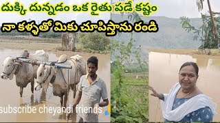 నాగలితో దుక్కి దున్నడం రైతు కష్టం నా కళ్ళతో మీకు చూపిస్తాను చూడండీ