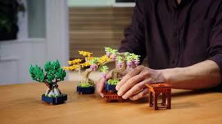 Lego Toy Bros Inc. presents: LEGO BOTANICALS 10373 Mini Bonsai