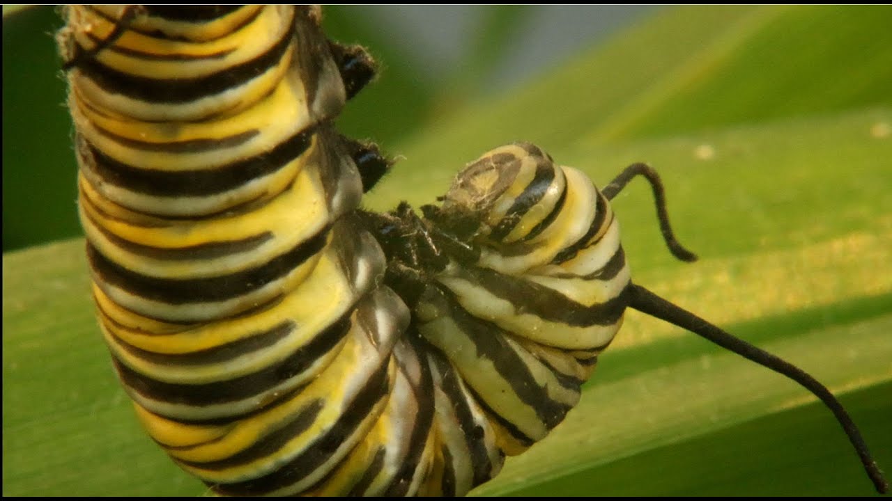 Watch the light change from late afternoon into evening, as this pet bobs the day away. 