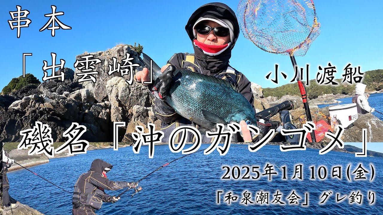 グレ釣り　和歌山　串本　出雲崎　沖のガンゴメ 　小川渡船　2025年1月10日   和泉潮友会