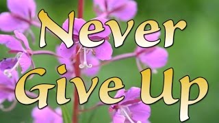 Famous Never Give Up, Never lose hope - Trust God - Message of faith and peace Net Worth