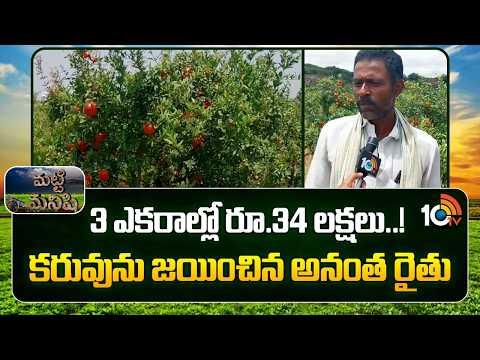 Farmer Success Story | Pomegranate Farming | 3 ఎకరాల్లో రూ.34 లక్షలు..! కరువును జయించిన అనంత రైతు - 10TVNEWSTELUGU