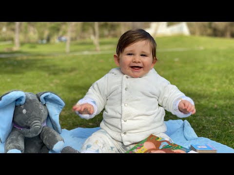 Video: Si Ta Vishni Beben Tuaj Për Një Shëtitje