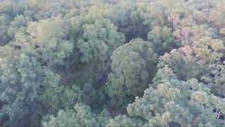 Partial Shady Oaks Farm Property Drone Tour!