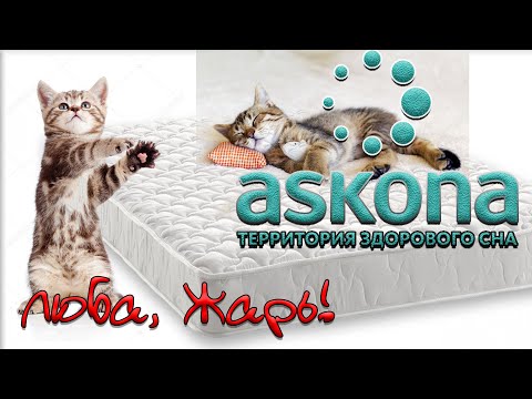 Вся правда об Askona. Молчать невозможно покупать или нет. Матрас Askona trend roll. Возврат