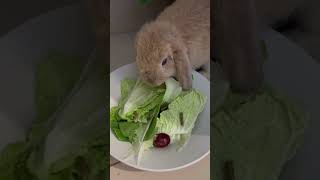 Eaty eat my food ☺️