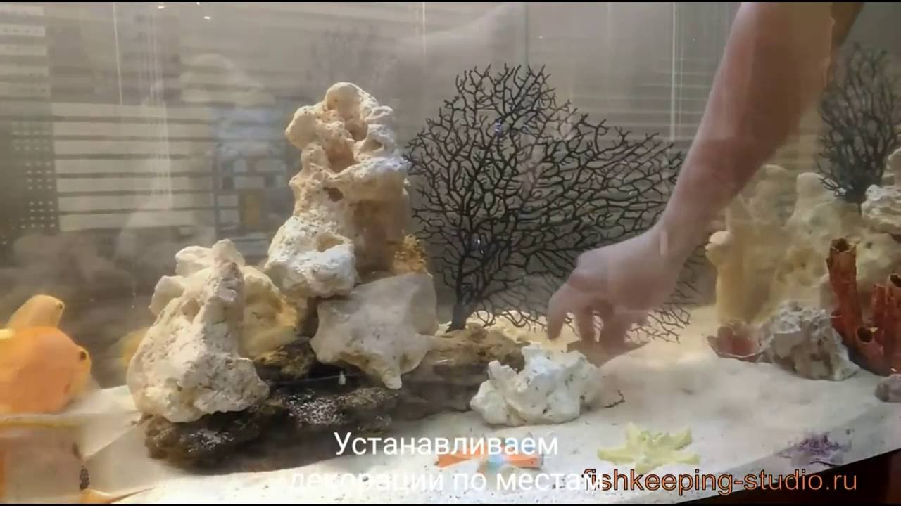 Чистка аквариум объемом 450 литров - Cleaning the aquarium. Volume 450 ...