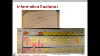 Comparing Agile vs Traditional Roles
