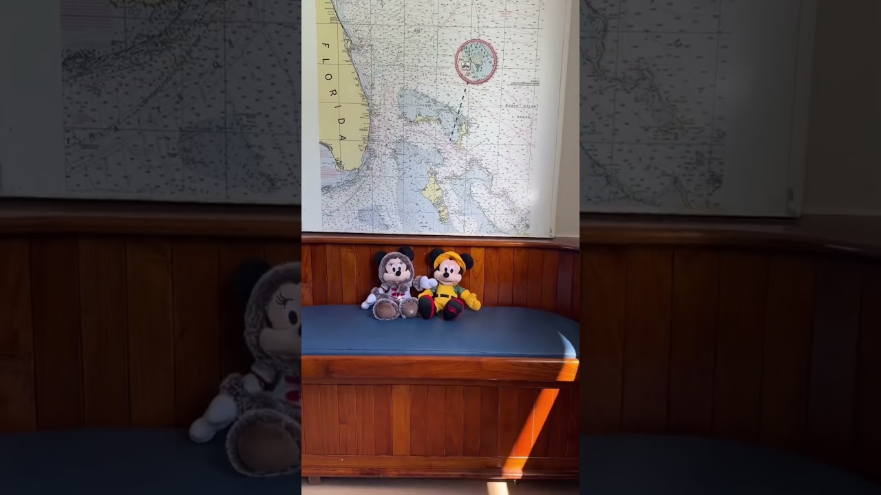 Glacier Viewing Day from your Navigator’s Verandah onboard the Disney Magic. Alaska Disney Cruise 🚢