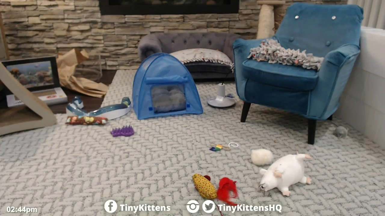 TKmain 11 22 2018  17 37 to 20 37