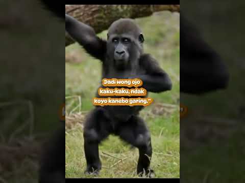 Ortada Bir Baba Olmadığı İçin Full Time Annelik Yapıyorum | Alttan Almama Alıştılar | Deniz Akkaya