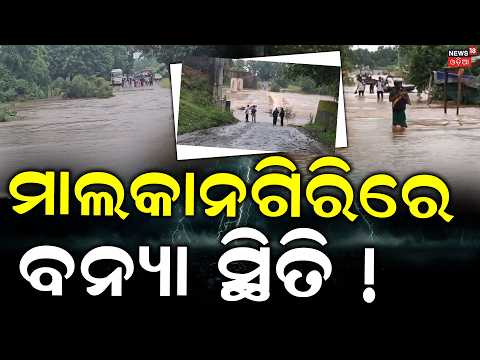 Malkangiri Flood Alert:Pangam Bridge Submerged After Heavy Rain |Malkangiri-Koraput Connectivity Hit