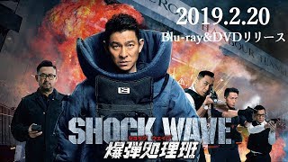 2019.2.20（水）Blu-ray&DVD Release 『インファナル・アフェア』シリーズのアンディ・ラウ主演！