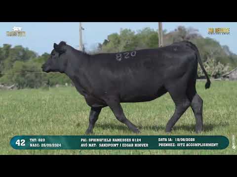 LOTE 042