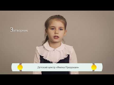 Видео превью