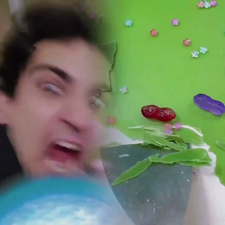 This is so funny, I couldn't stop laughing 😂😂 #funny #doddlersoftiktok #funnyvideos #duet