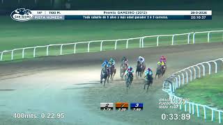Vidéo de la course PMU PREMIO GAMEIRO 2012