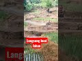 Traktor sawah #shorts
