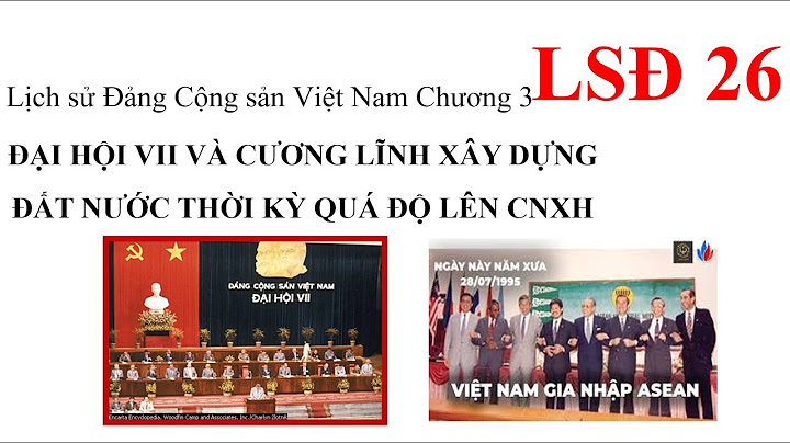 So sánh cương lĩnh 1991 và 2023 năm 2024