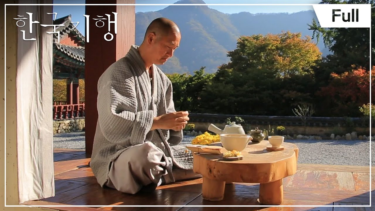 [Full] 한국기행 - 가을 내장산 1부 감춰진 비밀