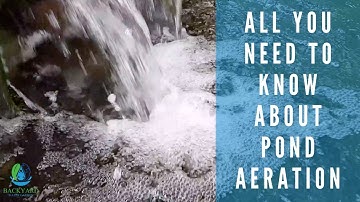 All You Need To Know About Pond Aeration