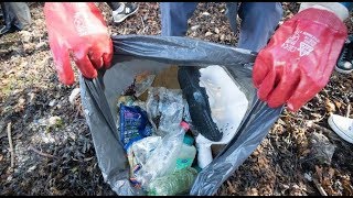 Scientists hope new enzyme will 'eat' plastic pollution