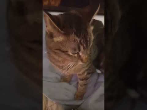 Chica 16 Yr Moana Eliza 7 Mo 