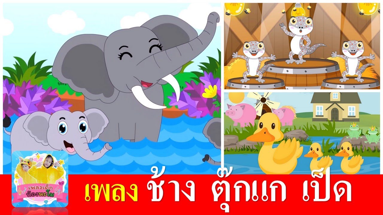 เพลงเด็ก ช้าง ตุ๊กแก เป็ด | ช้างช้างช้าง | ตุ๊กแก | เป็ดอาบน้ำในคลอง | เรียนรู้เรื่องสัตว์