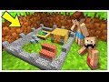 AIUTO! IL MONDO STA DIVENTANDO PICCOLISSIMO! - Minecraft ITA