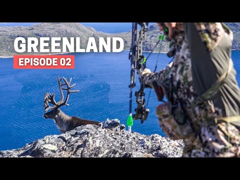 Video: Hur du tar dig till och runt Grönland