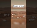 Le città prima degli esseri umani #shorts