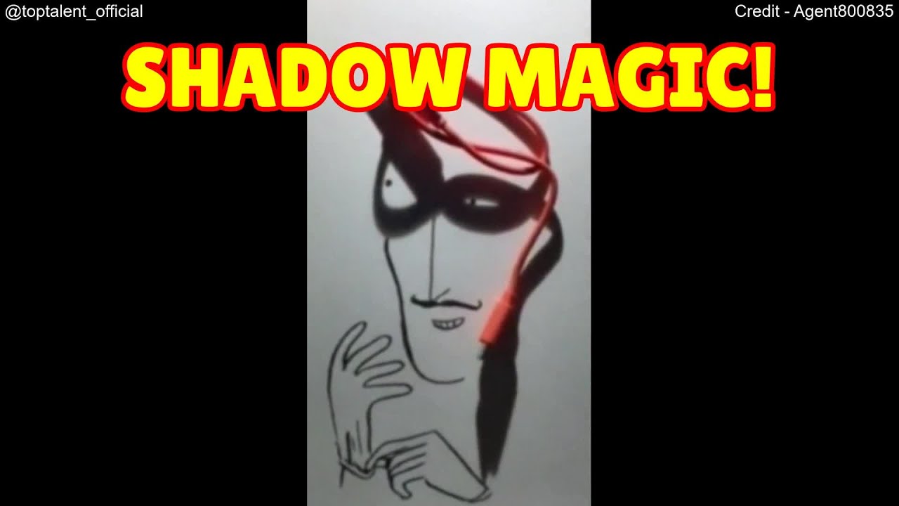 Shadow Art Transformed: Everyday Objects Become Masterpieces 