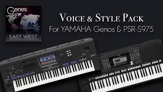 Звуки и стили для YAMAHA Genos, Tyros5, PSR-SX900, PSR-SX700, PSR-S975 [Beat]