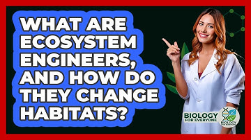 What Are Ecosystem Engineers, And How Do They Change Habitats? - Biology For Everyone