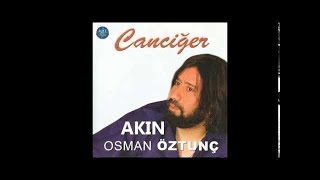 Osman Öztunç Akın, ZeMahşer Resimi