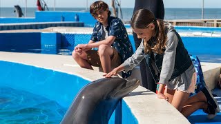 دولفين بينقذ صديقته من الغرق، وبتساعده انه يهرب من الصيادين Bernie The Dolphin