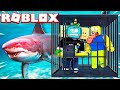 TRAPPED IN A SHARK CAGE In ROBLOX!