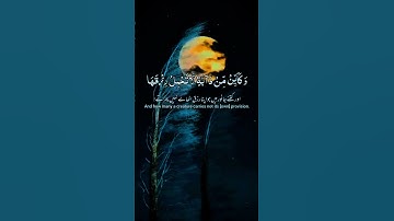 الَّذِينَ صَبَرُوا وَعَلَىٰ رَبِّهِمْ يَتَوَكَّلُونَ*  — *سورة النحل، آيت 42*