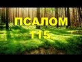 Псалтирь. ПСАЛОМ 115. [рус.]