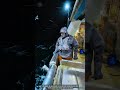 How Ocean Reel Hauler System Turns Night Waves Into Violent Fish Harvest