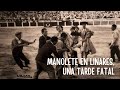 FRANCISCO CALLEJO SOBRE LA FATAL TARDE DE MANOLETE EN LINARES Clip de Todo Está en Los Libros #11