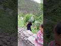 Pahadon ki Ghasyari || #shortvideo #pahdilifestyle #song