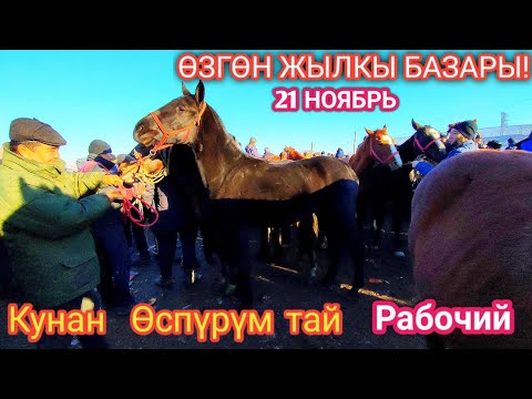 Видео: ОХУ-д ямар төрлийн бизнес эрхлэгчид хамгийн их тохиолддог вэ, яагаад