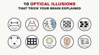 10 Optical Illusions That Trick Your Brain Explained