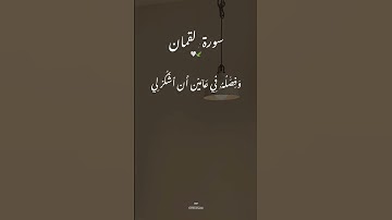 سورة لقمان تلاوة خاشعة #ماهر_المعيقلي #viral #viralvideo #سورة_لقمان