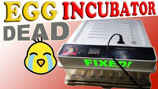 Egg Incubator: Dead! Watch This Before Buying a New One! 🐣#EggIncubator #PoultryKeeping #DIYRepair
